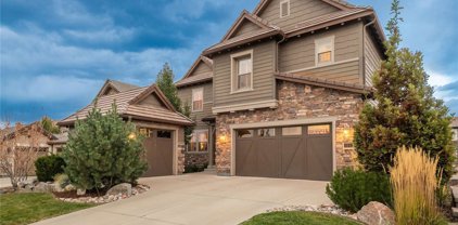 10640 Star Thistle Court, Highlands Ranch