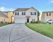 529 Stafford Springs Court, Summerville image