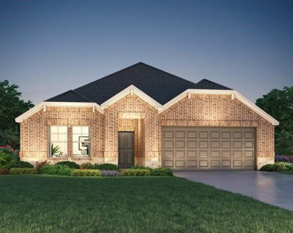 1321 Taft Point Lane, Iowa Colony