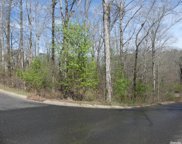 Lot 19 Rose Creek, Hot Springs image
