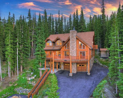731 Kimmes  Lane, Breckenridge