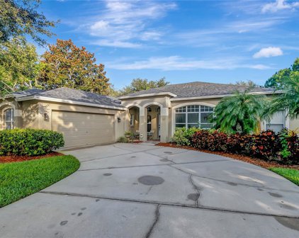 6702 Brighton Park Drive, Apollo Beach