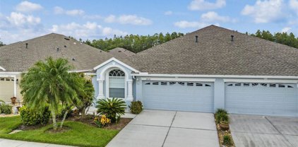 2838 Torrance Drive, Land O' Lakes