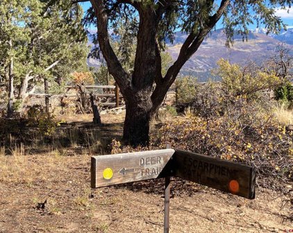TBD (Lot 4) Pine, Ridgway