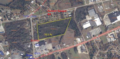 Senator Gasque Rd., Marion