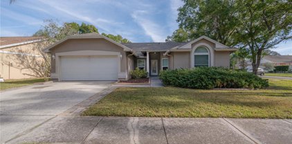 8953 Bayaud Drive, Tampa