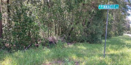 8580 N Golfview Drive, Dunnellon