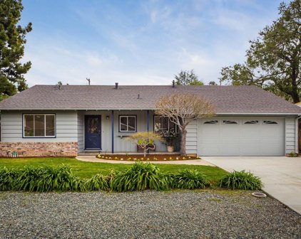 763 Cereza DR, Palo Alto