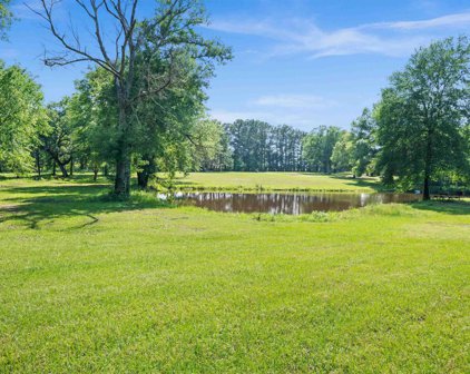 12841 COUNTY ROAD 2133, Whitehouse