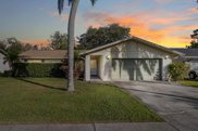 14503 Mecca Place, Tampa image