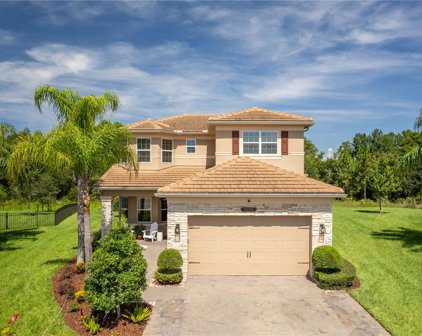 30314 Ceasar Park Drive, Wesley Chapel