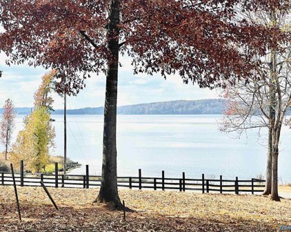 1.3 Acres Alabama Highway 227, Guntersville