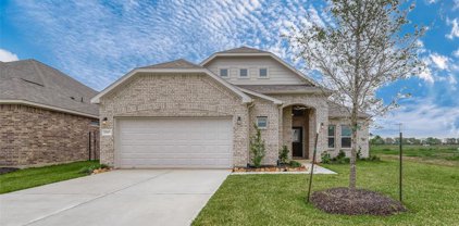 1907 Tioga View Drive, Rosharon