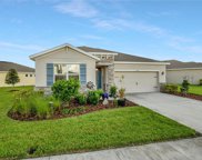 31551 Tansy Bend, Wesley Chapel image