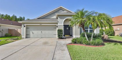 30816 Saint Vincent Court, Wesley Chapel