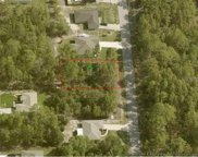 9188 N Satinwood Terrace, Dunnellon image