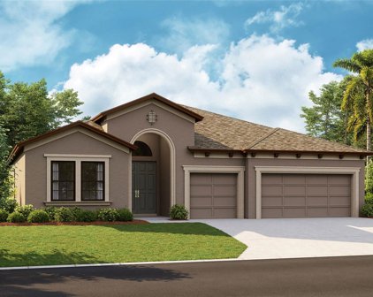 13217 Twin Bridges Drive, Riverview