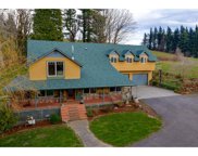 642 BELLE CENTER RD, Washougal image