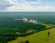 16.32 acre F-10 Old River Rd Road, Baker image