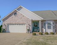 215 River Bluff  Court, Troy image