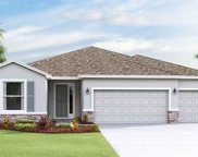 23016 Scaglione Drive, Lutz image