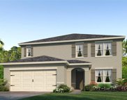 11321 Amber Ridge Drive, Zellwood image