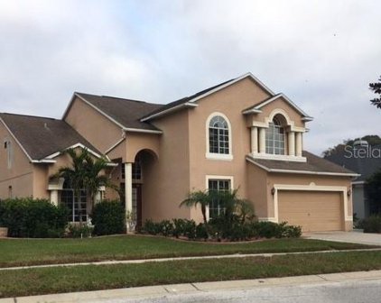4135 Whittner Drive, Land O' Lakes