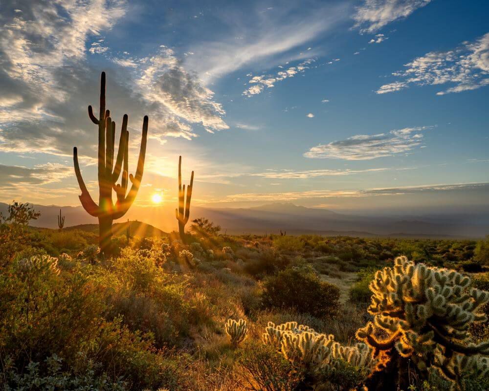 Search Tucson Homes with a View Real Estate