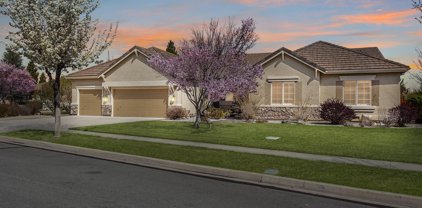 2860 Thistle Belle Ct, Sparks
