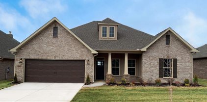 163 Rita Ann Way, Meridianville