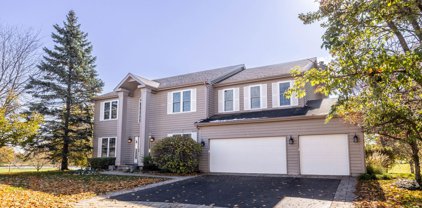 6 Long Cove Court, Lake In The Hills