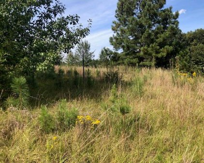 Egypt Road, Snellville