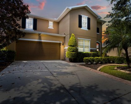 2927 Winglewood Circle, Lutz