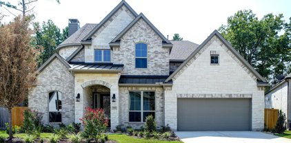 319 Calmato Woods Way, Willis