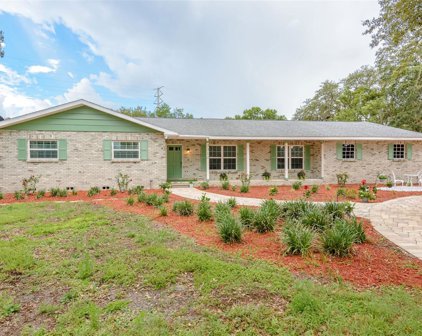 3310 Crenshaw Lake Road, Lutz