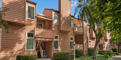 339 Tradewinds Drive, San Jose