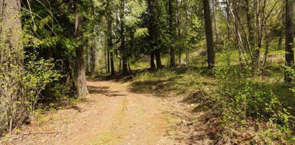 NNA Larkin Ln, Sandpoint