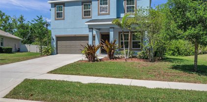 3329 Mela Court, Holiday