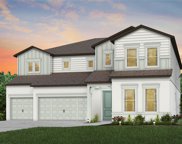 12121 Orchid Ash Street, Riverview image