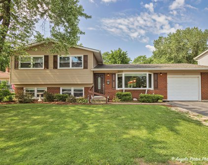 233 W Tanglewood Drive, Arlington Heights