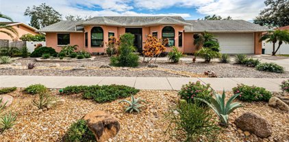 1017 Jamaica Way, Tarpon Springs