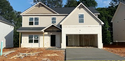 502 Eagles Nest Circle, Auburn