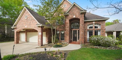 126 E Capstone Circle, The Woodlands