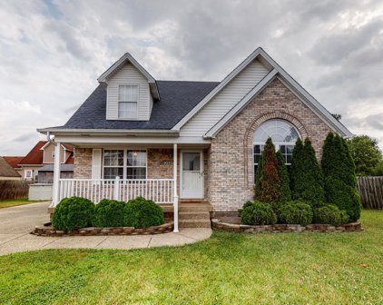 254 Pagoda Ct, Shepherdsville