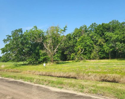 lot 71 Conestoga Trail, Angleton