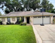 8031 Fawnridge Circle, Tampa image