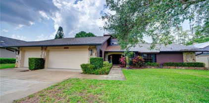 3355 Brian Road N, Palm Harbor