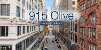 915 Olive  Street Unit #1113, St Louis