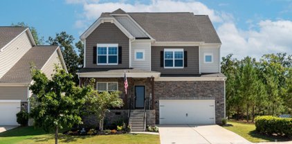 1885 Sapphire Meadow  Drive, Fort Mill