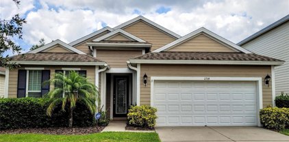 11514 Balintore Drive, Riverview